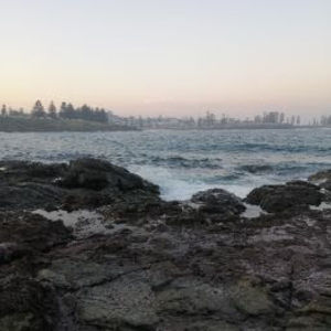 Meet your Posher, Liam